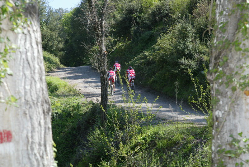 gal/2008/07 - La Via delle Miniere/05_Ponte_Crevole/FB1A0162-01.jpg